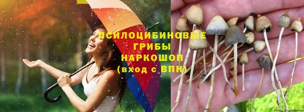 mix Алексеевка