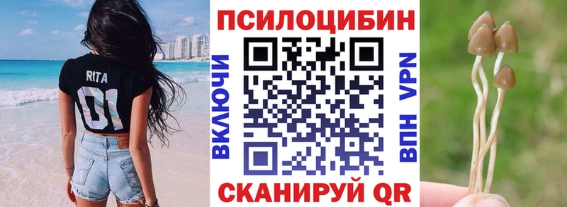 цены наркотик  Апшеронск  Галлюциногенные грибы мицелий 