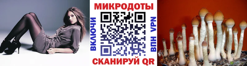 Псилоцибиновые грибы Magic Shrooms Апшеронск